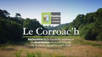 Le Corroach - Restauration et réhabilitation du site