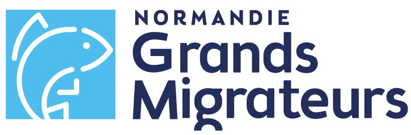 Logo NGM